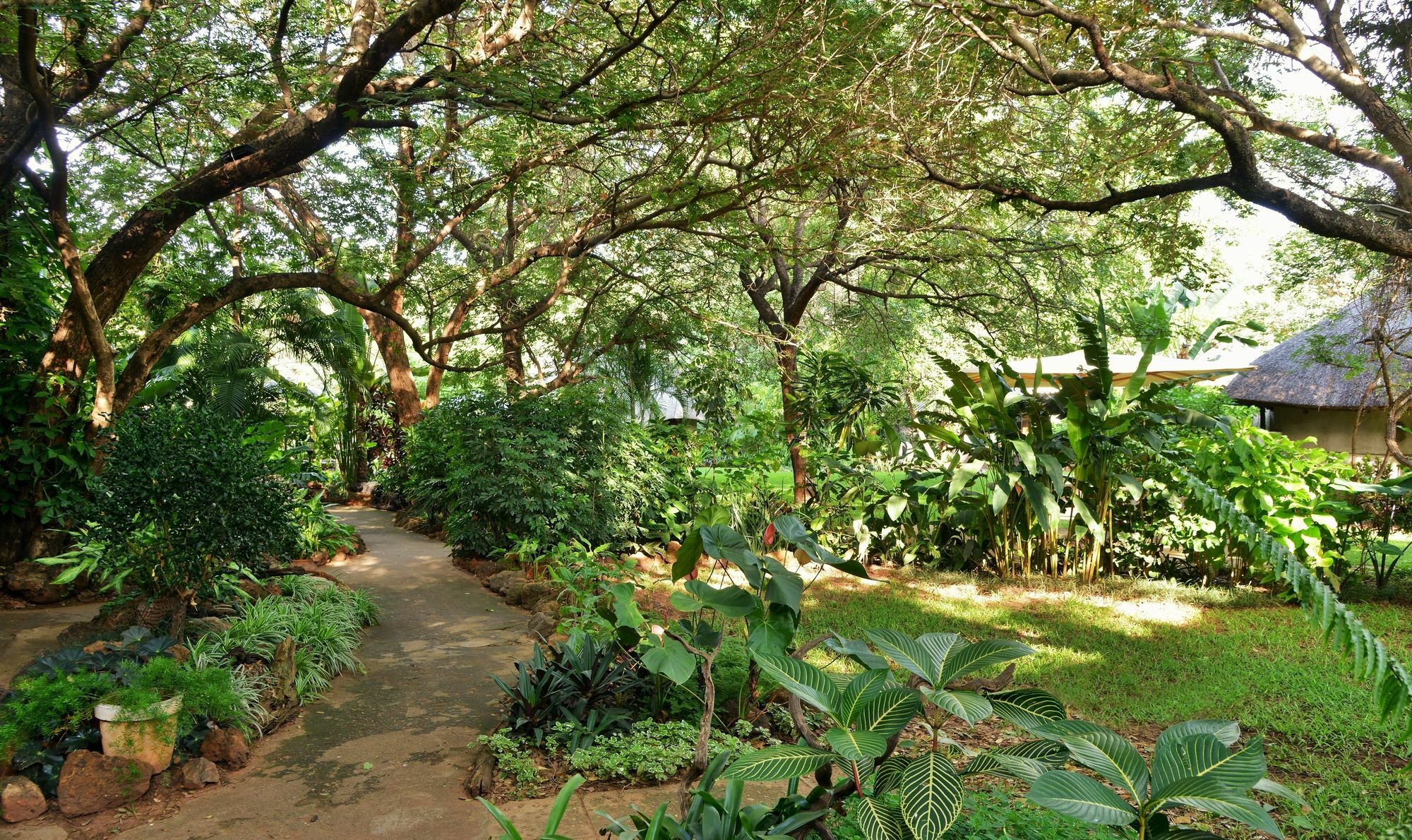 Bayete Guest Lodge Victoria Falls Exterior photo